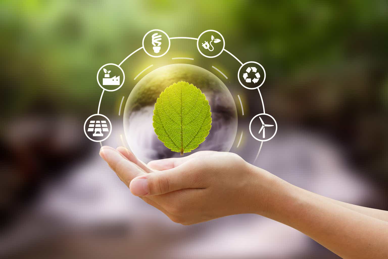 Sustainability In Footwear: Stepping Towards A Greener Future – Doo Dah ...