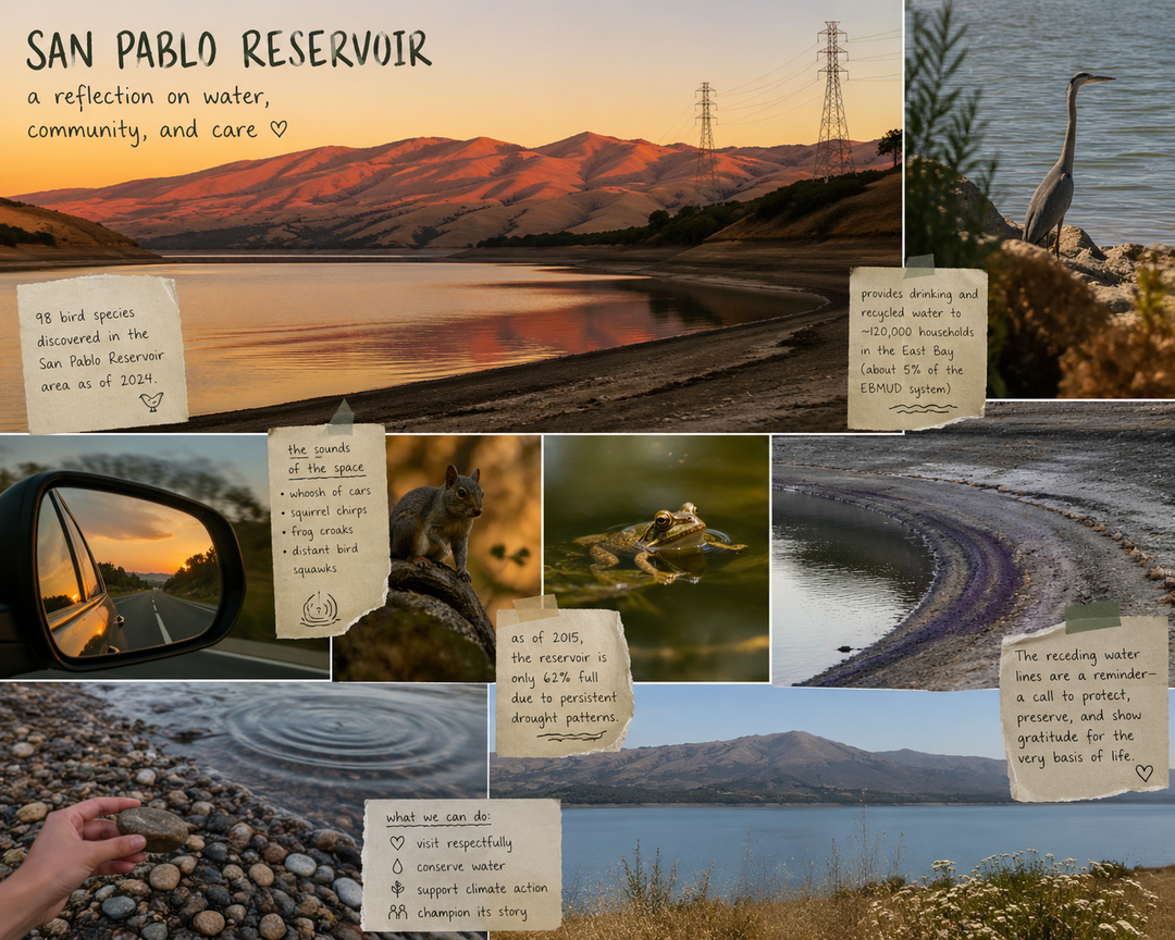 San Pablo Reservoir