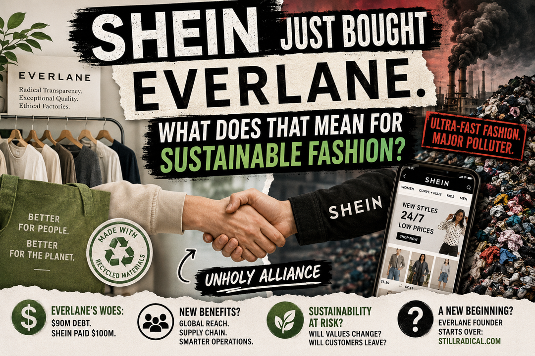 SHEIN Just Bought Everlane. What Does That Mean for Sustainable Fashion?