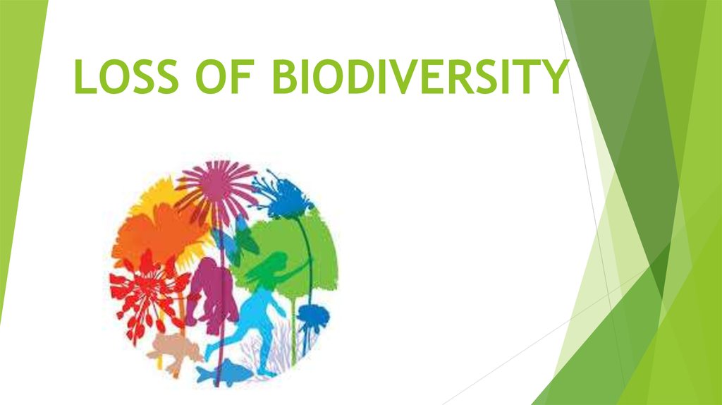 Biodiversity Loss